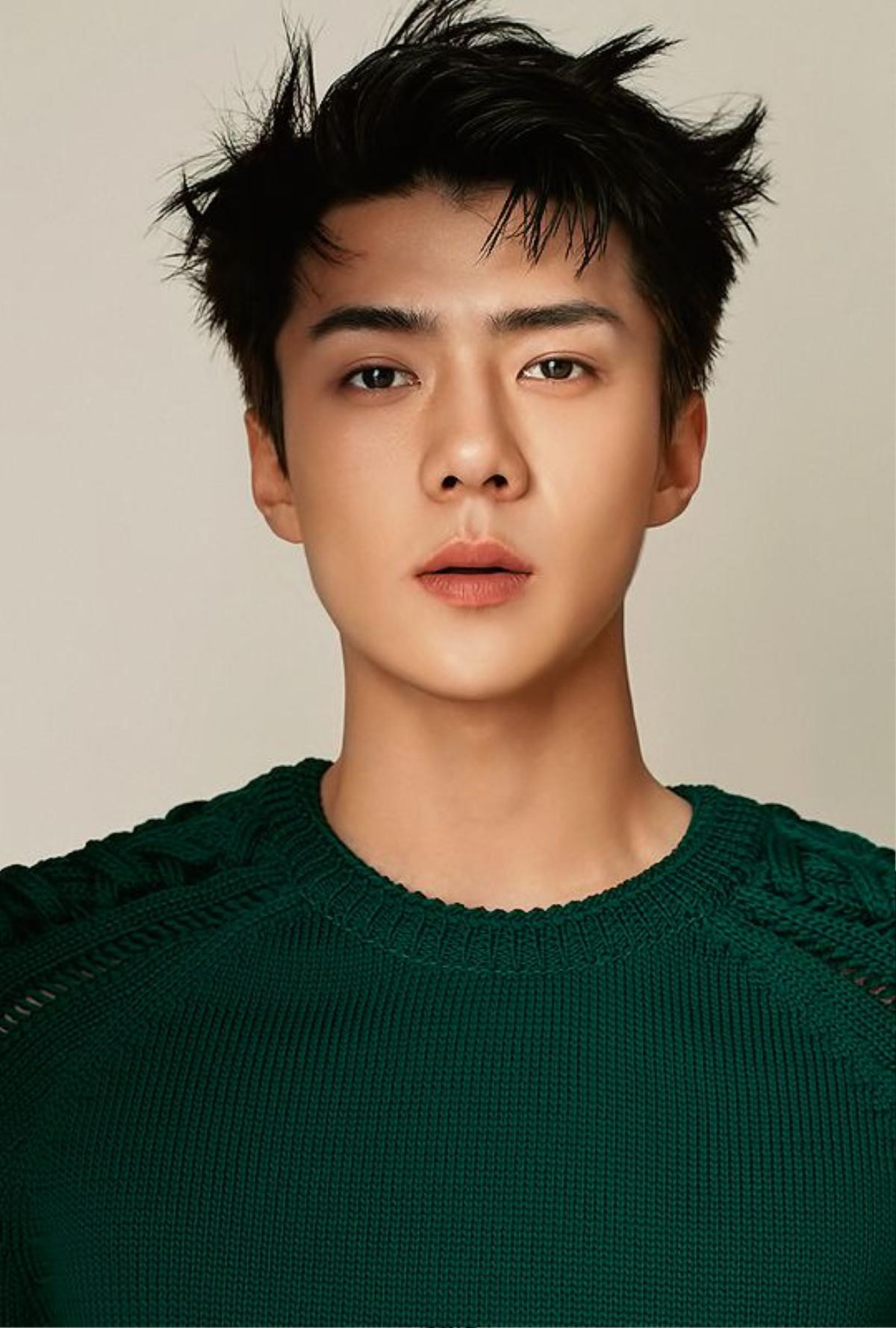 Không chỉ có một con đường mang tên là Oh Sehun (EXO) mà đây còn là dự án vô cùng ý nghĩa Ảnh 2