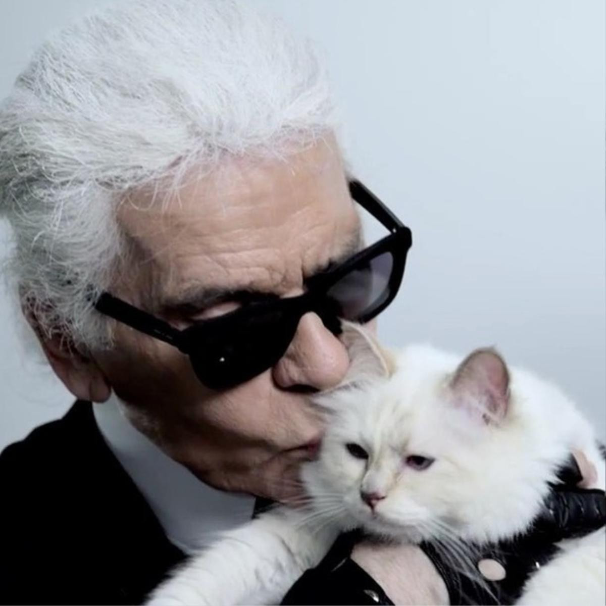 Karl Lagerfeld qua đời, chú mèo Choupette có thể thừa kế 200 triệu USD từ người chủ quá cố Ảnh 2