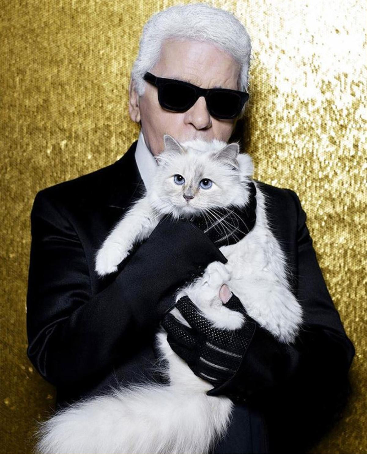 Karl Lagerfeld qua đời, chú mèo Choupette có thể thừa kế 200 triệu USD từ người chủ quá cố Ảnh 1