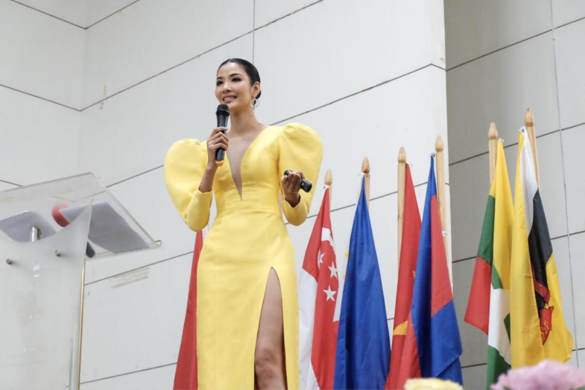 Một bộ phận fan H'Hen Niê 'ném đá' Hoàng Thuỳ, Top 5 Miss Universe 2018 'đau đầu' và lên tiếng giảng hoà! Ảnh 10