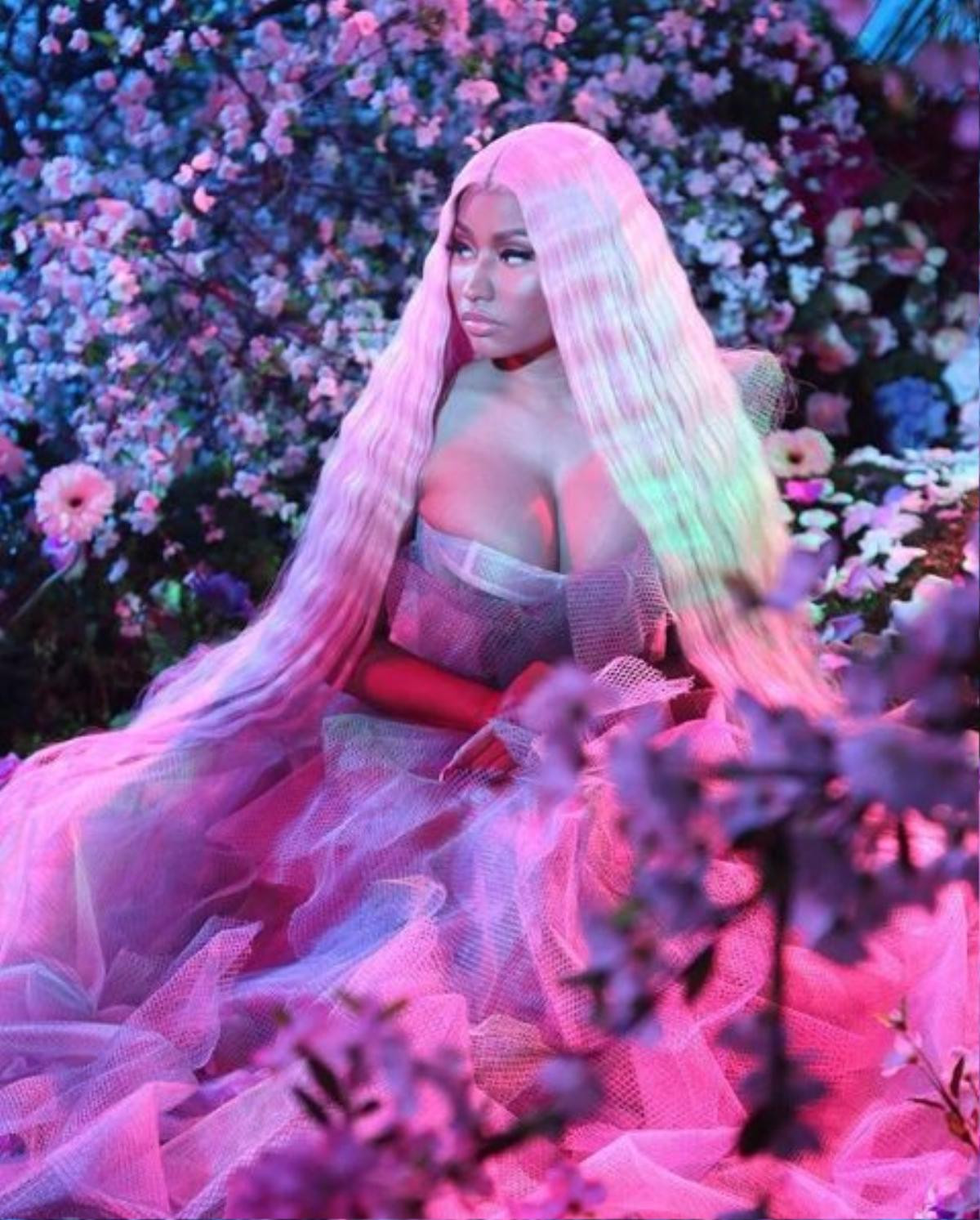 Show diễn bị hủy tại Slovakia, hành động này của Nicki Minaj khiến người hâm mộ suýt bật khóc! Ảnh 2