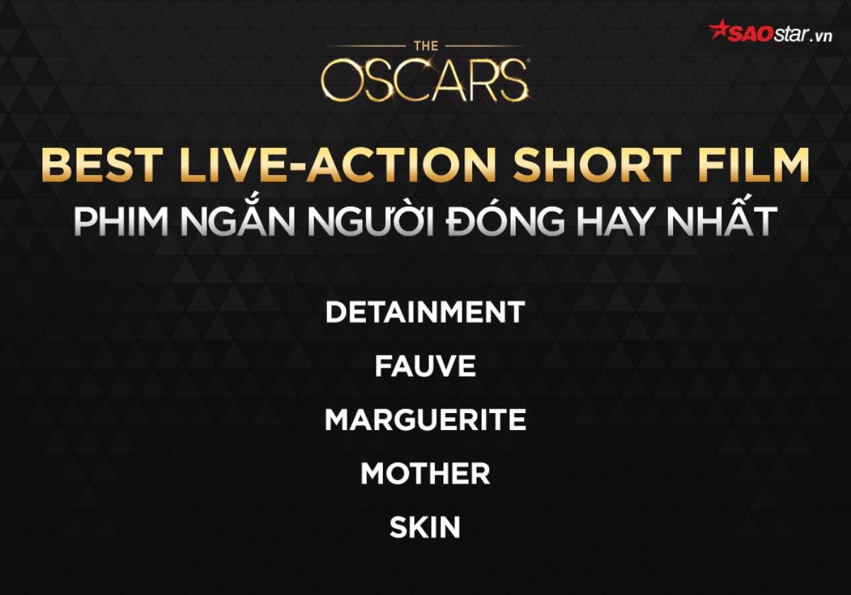 Oscar 2019: Không phải Roma hay Black Panther - A Star Is Born, Green Book mới là Phim hay nhất Ảnh 58