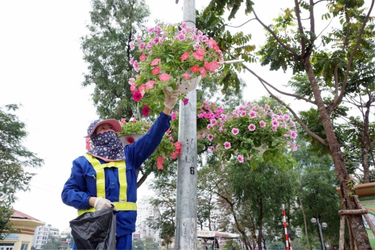 Phố phường Hà Nội rực rỡ sắc hoa trước thềm hội nghị thượng đỉnh Mỹ - Triều Ảnh 5