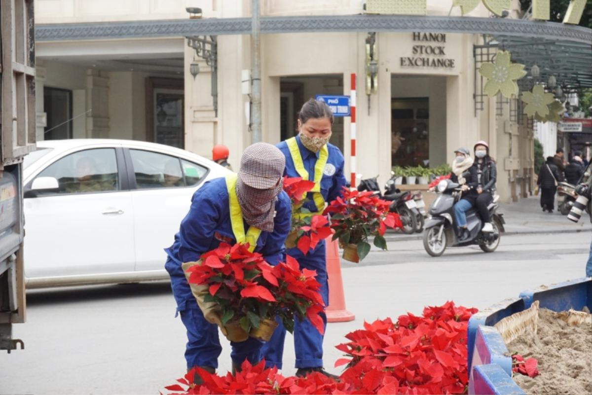 Phố phường Hà Nội rực rỡ sắc hoa trước thềm hội nghị thượng đỉnh Mỹ - Triều Ảnh 7