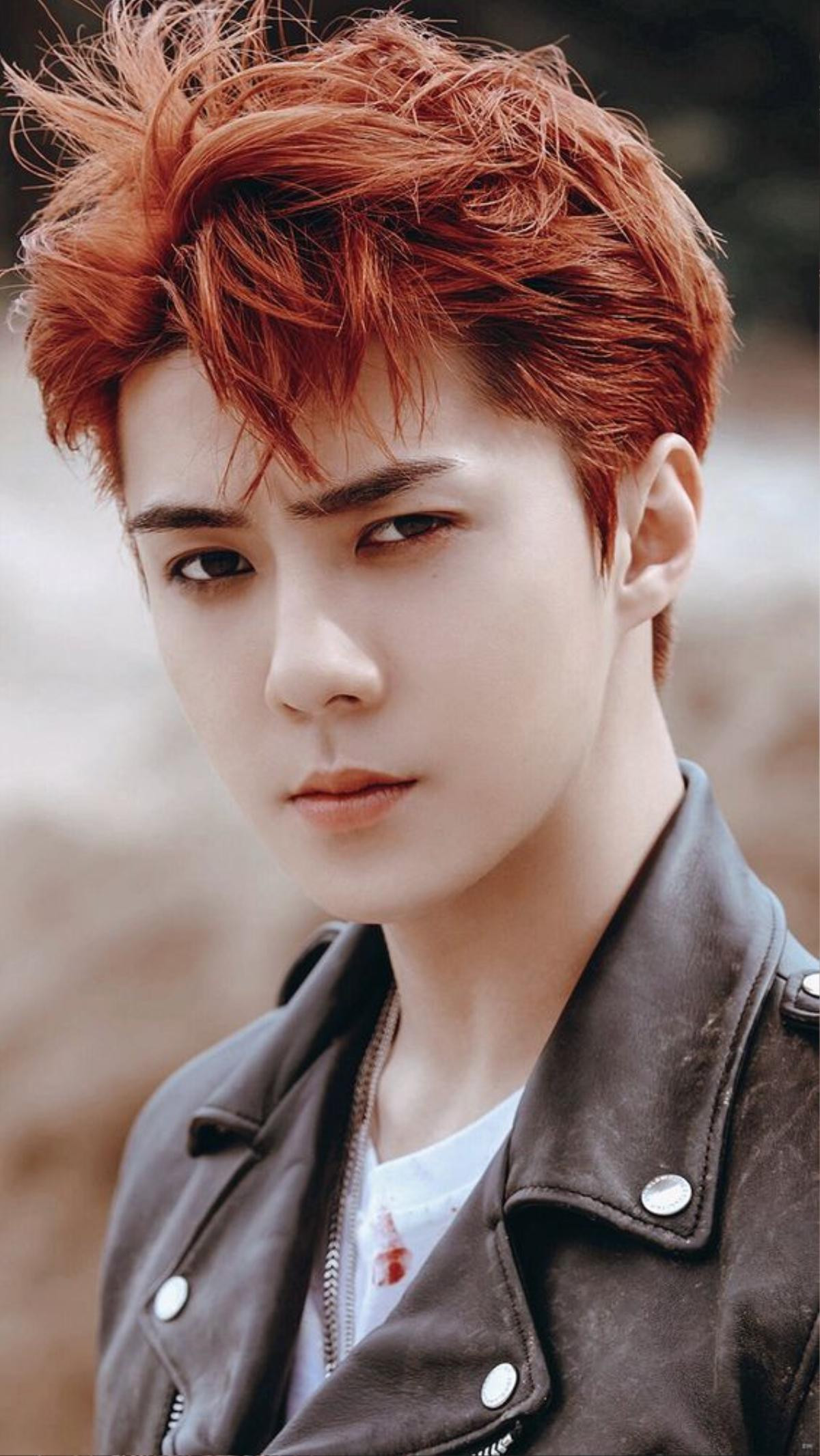 Sehun (EXO) có biệt danh mới siêu đáng yêu, tìm được 'anh trai song sinh' thất lạc Ảnh 1