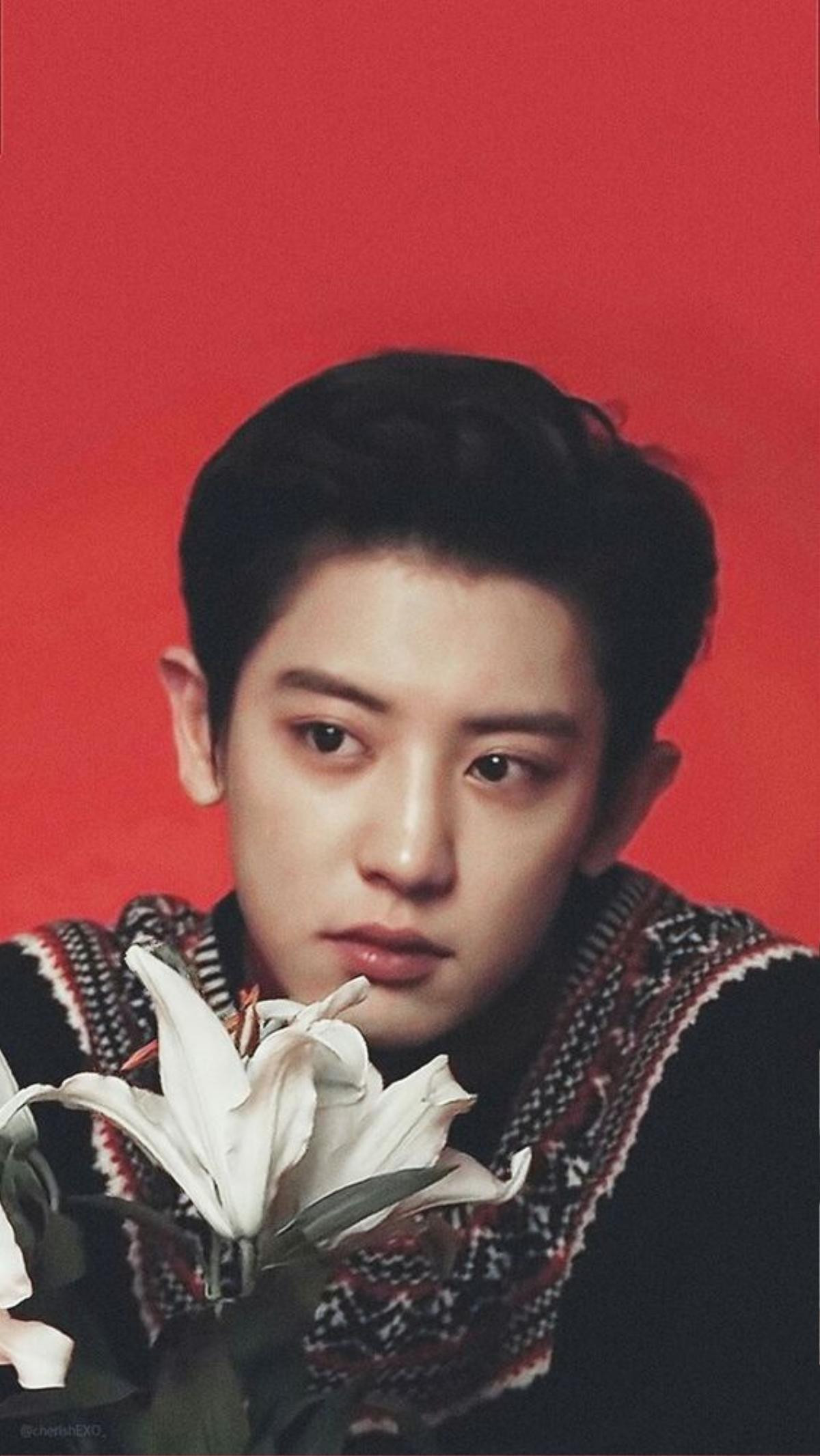 Chanyeol (EXO) thích cô gái có gen hài hước - Son môi của Yoo In Na trong 'Touch Your Heart' được chú ý không kém Ảnh 5