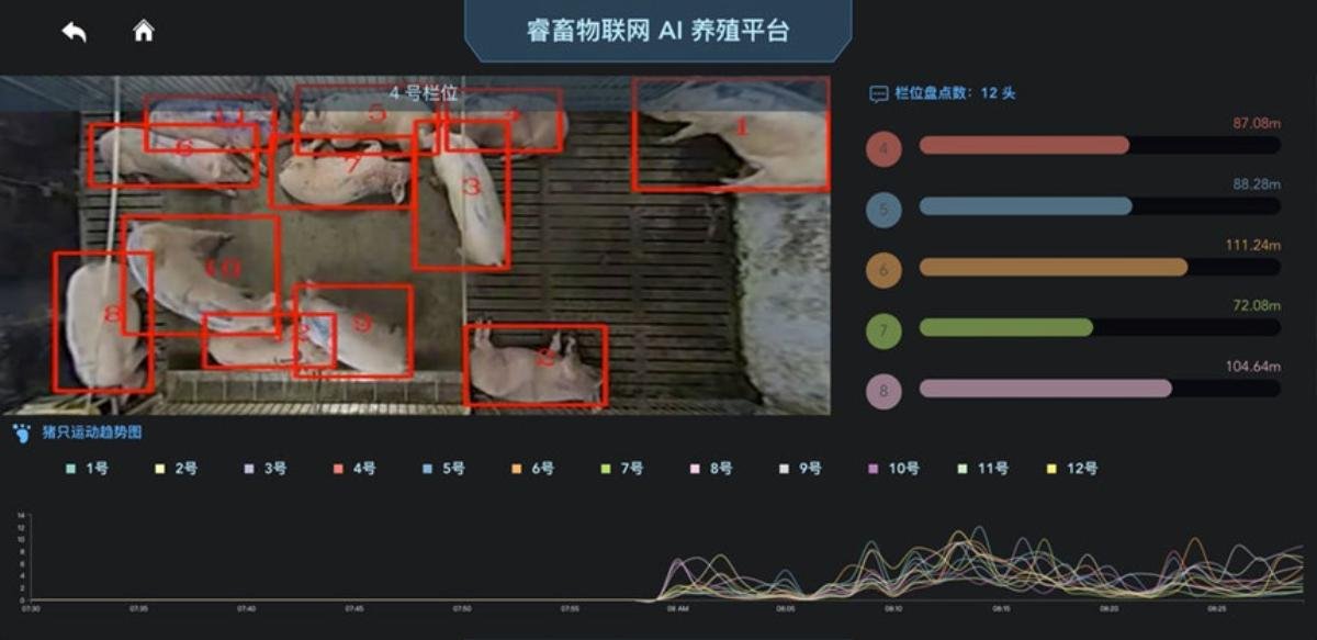 Tại Trung Quốc, nhận diện khuôn mặt áp dụng cả cho việc nuôi lợn Ảnh 3