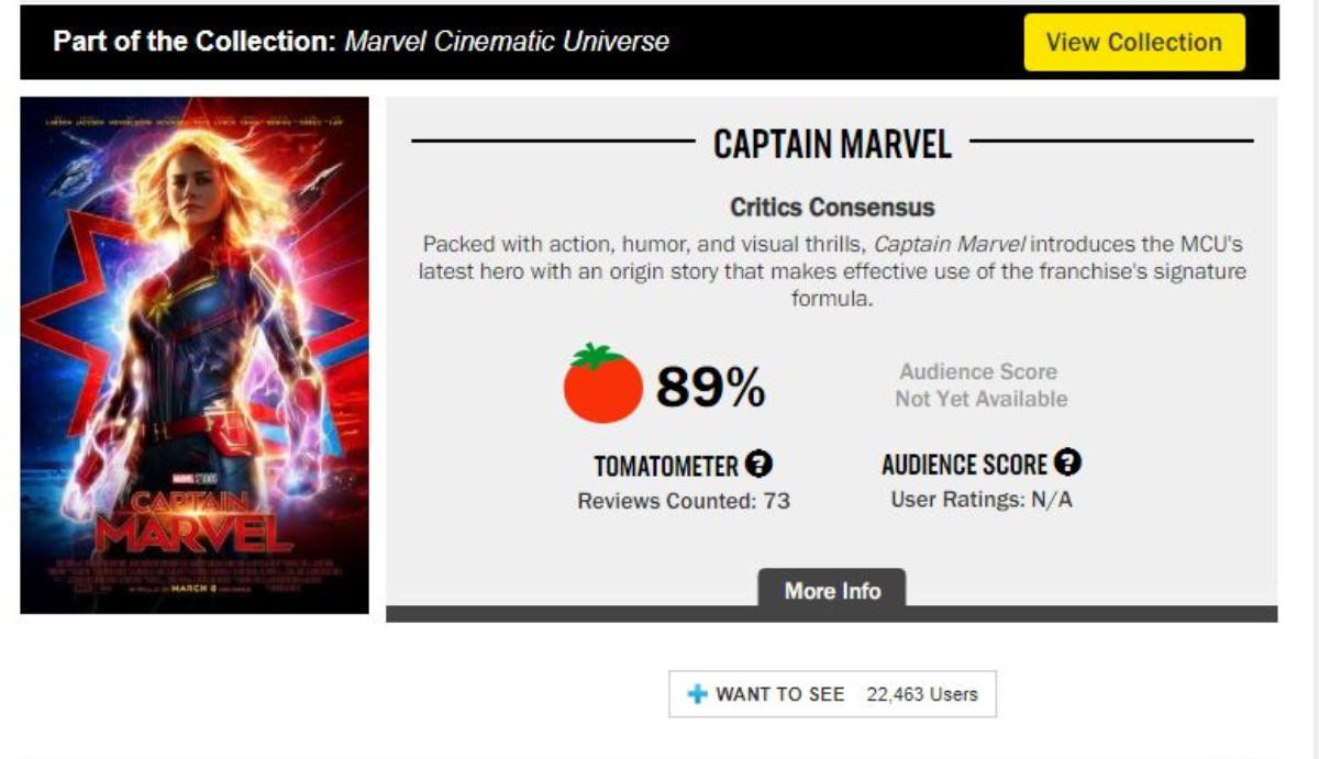 Đã có điểm số đầu tiên của 'Captain Marvel' trên Rotten Tomatoes Ảnh 2