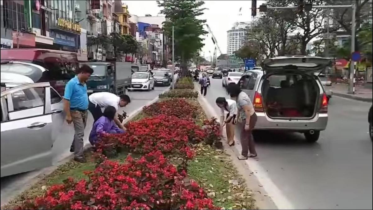 Nhiều người Hà Nội ngang nhiên dừng ô tô giữa đường lấy hoa trang trí sau hội nghị thượng đỉnh Mỹ - Triều Ảnh 1