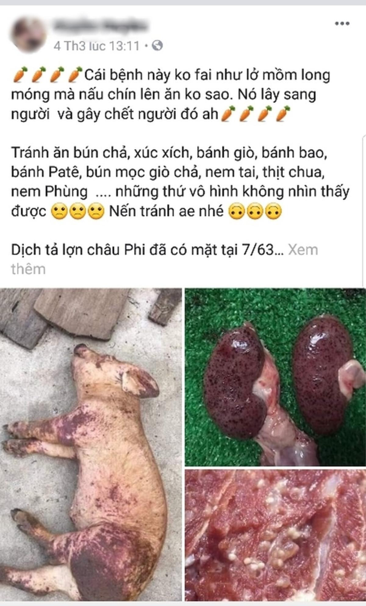 Thực hư tin đồn dịch tả lợn Châu Phi lây sang người gây hoang mang dư luận Ảnh 2