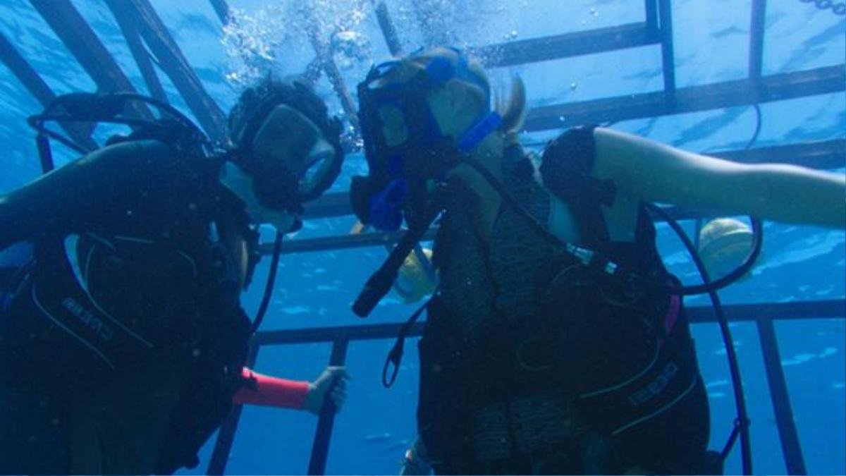 Phần tiếp theo của '47 Meters Down' bị lùi lịch chiếu lại 2 tháng Ảnh 5