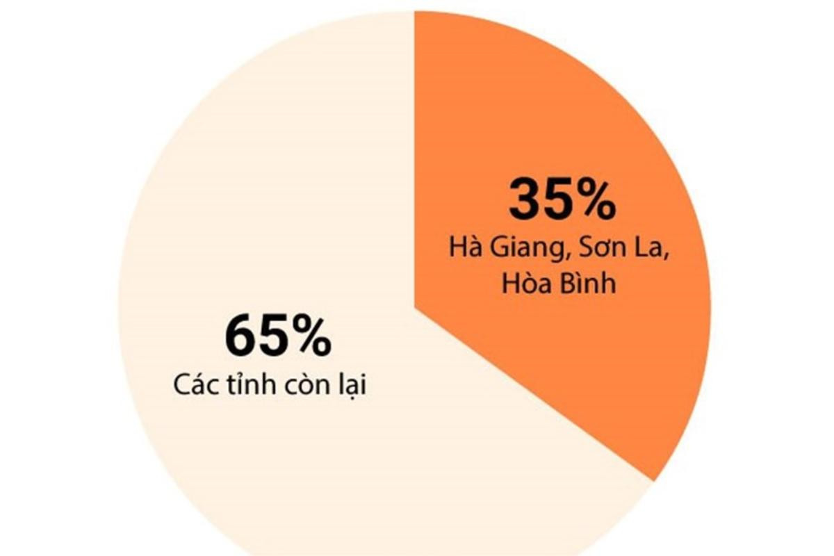 Gian lận điểm thi ở Hòa Bình: Trước khi phát hiện, thí sinh có điểm cao bất thường như thế nào? Ảnh 2