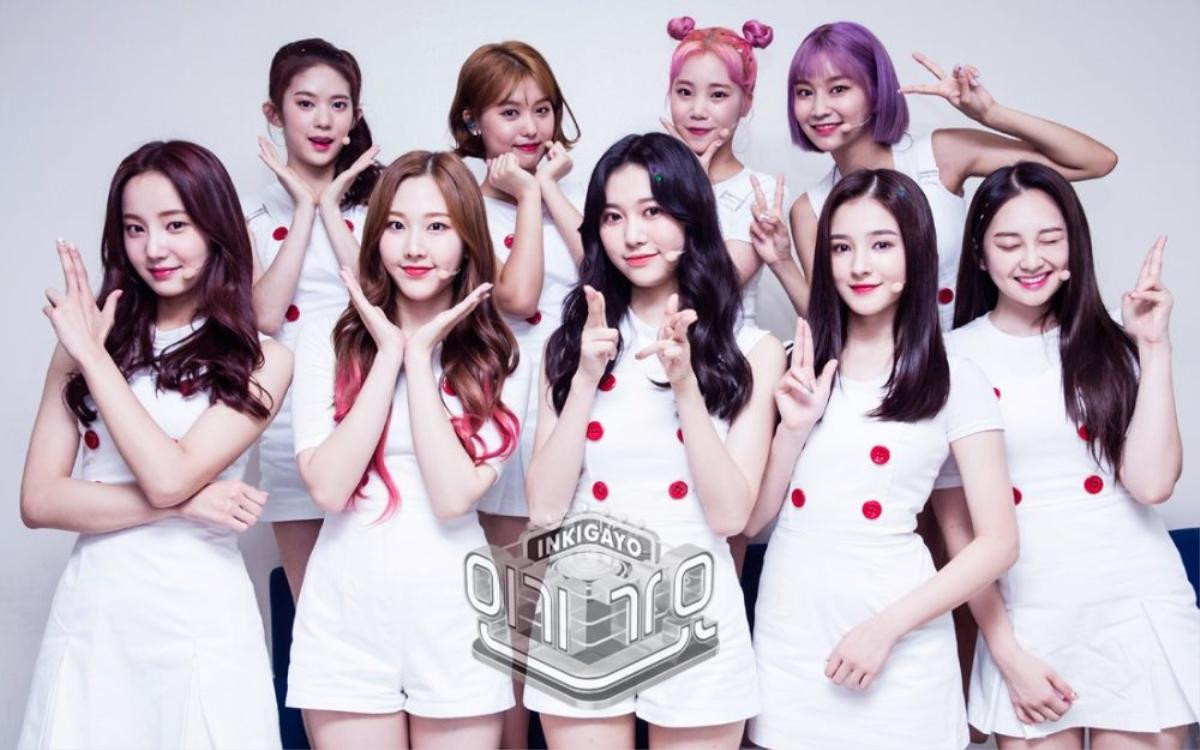 Dự án cùng Erik trục trặc, Momoland thông báo kế hoạch tái xuất với đội hình còn… 7 thành viên Ảnh 1