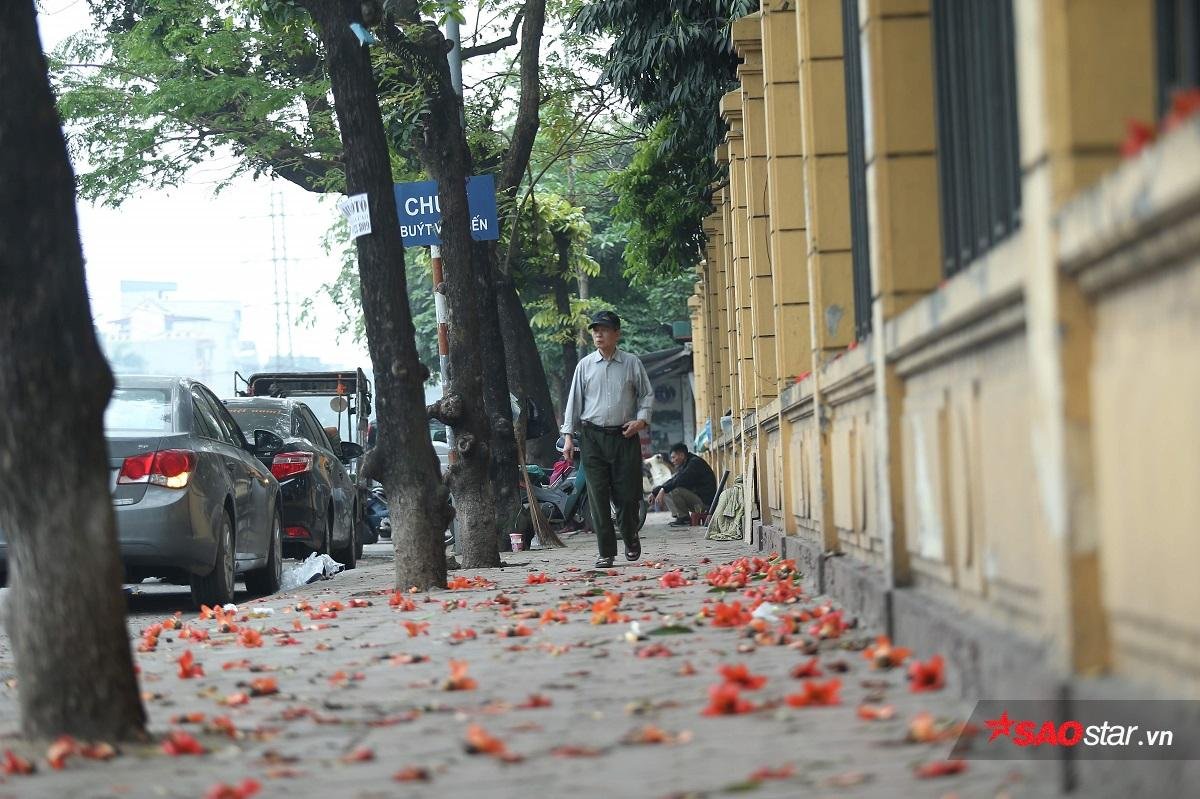 Chùm ảnh: Tháng 3 về, hoa gạo nở bung đỏ rực góc phố Hà Nội Ảnh 8