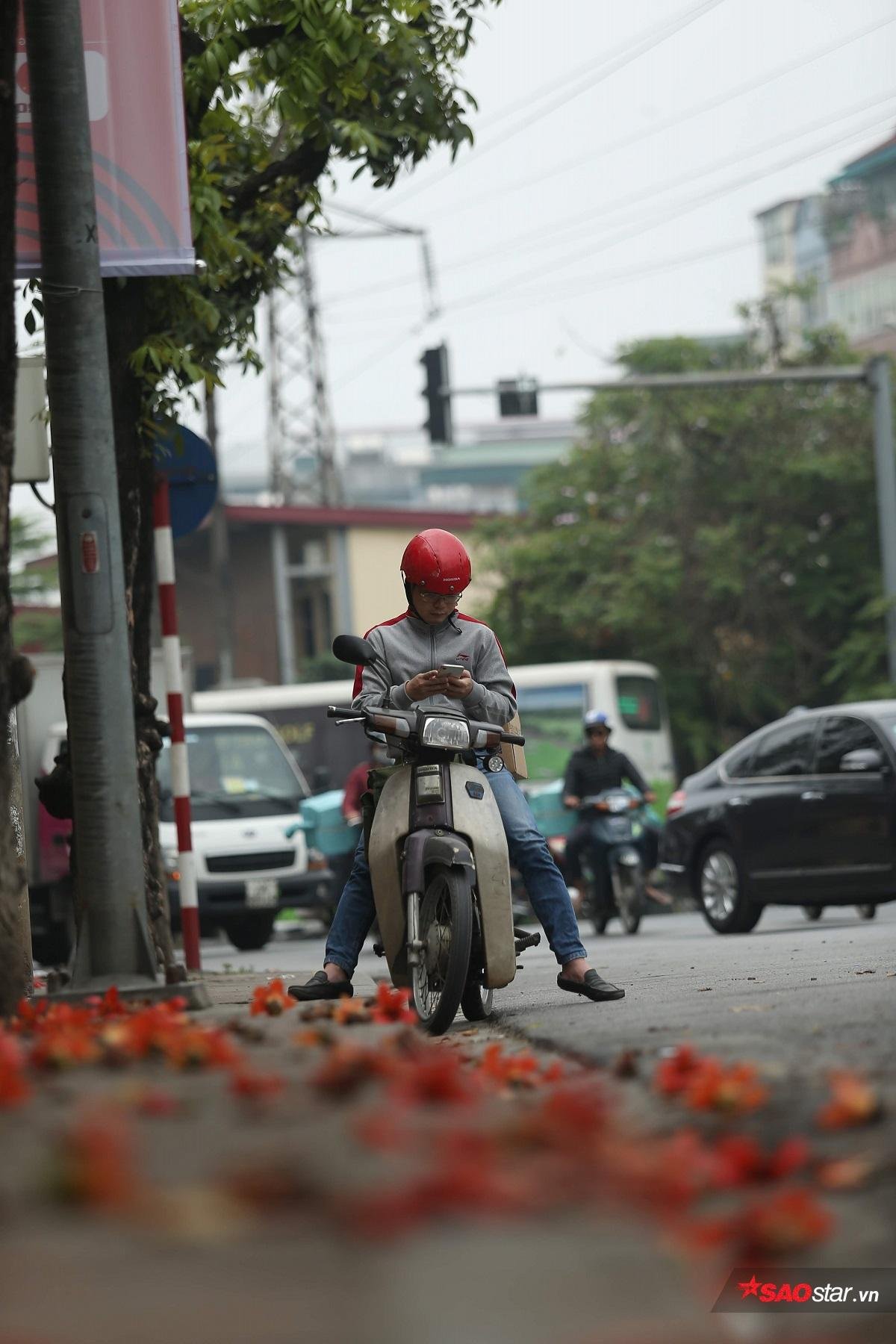 Chùm ảnh: Tháng 3 về, hoa gạo nở bung đỏ rực góc phố Hà Nội Ảnh 3