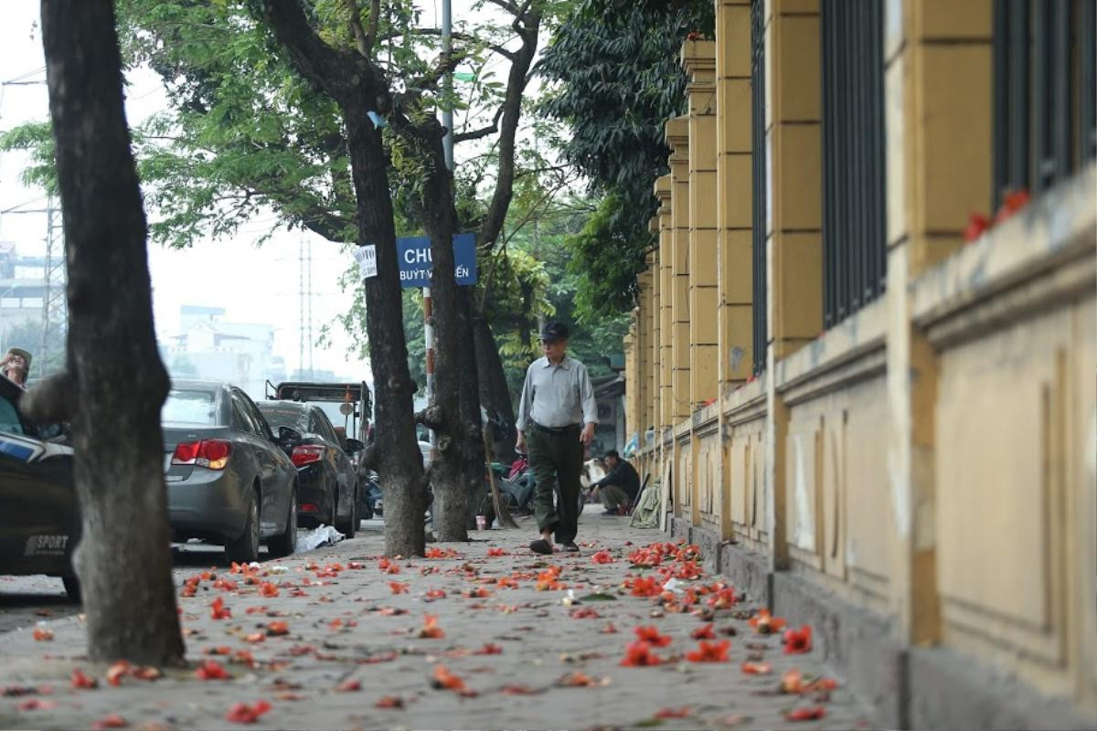 Có một Hà Nội ẩm ương nhưng lại đẹp đến nao lòng vào những mùa hoa tháng 3 Ảnh 6