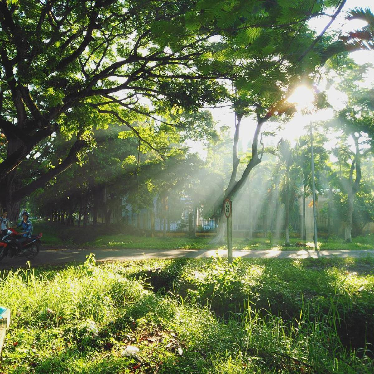 Cận cảnh từng ngóc ngách xinh đẹp tại ngôi trường Đại học lớn nhất đồng bằng Sông Cửu Long Ảnh 30