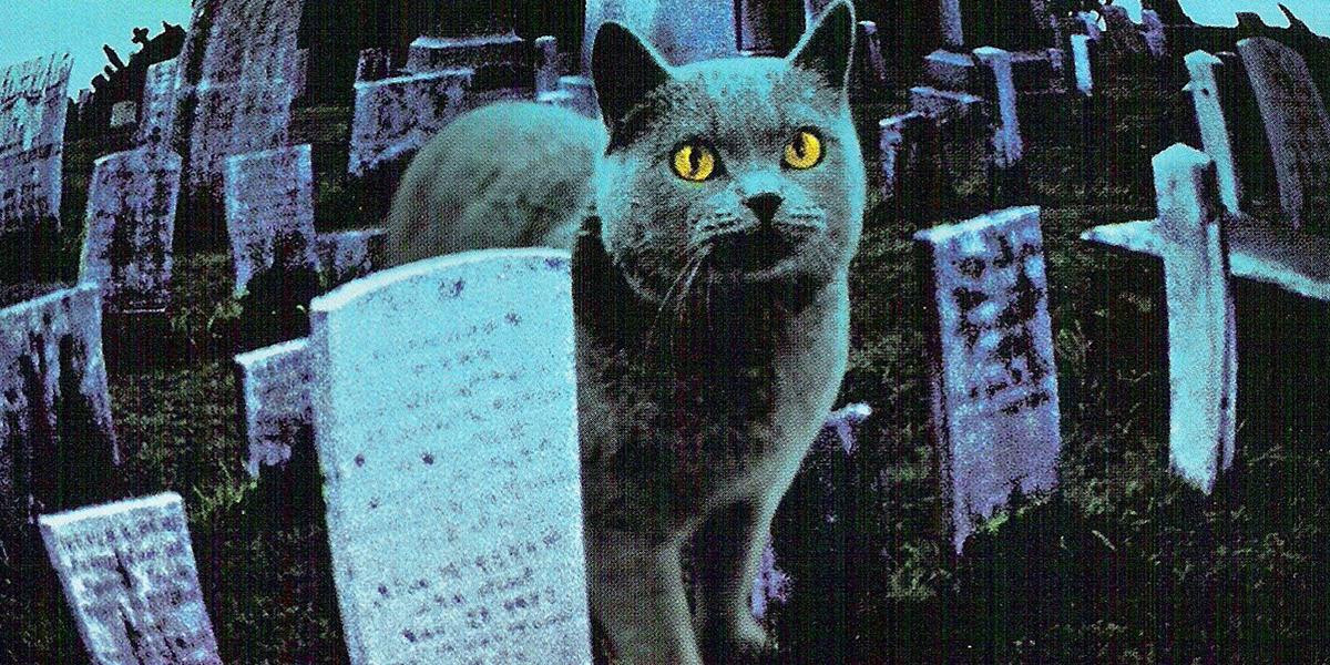 Review sớm 'Pet Sematary - Nghĩa địa thú cưng' của Stephen King: Đen tối, đáng sợ, tàn nhẫn! Ảnh 2