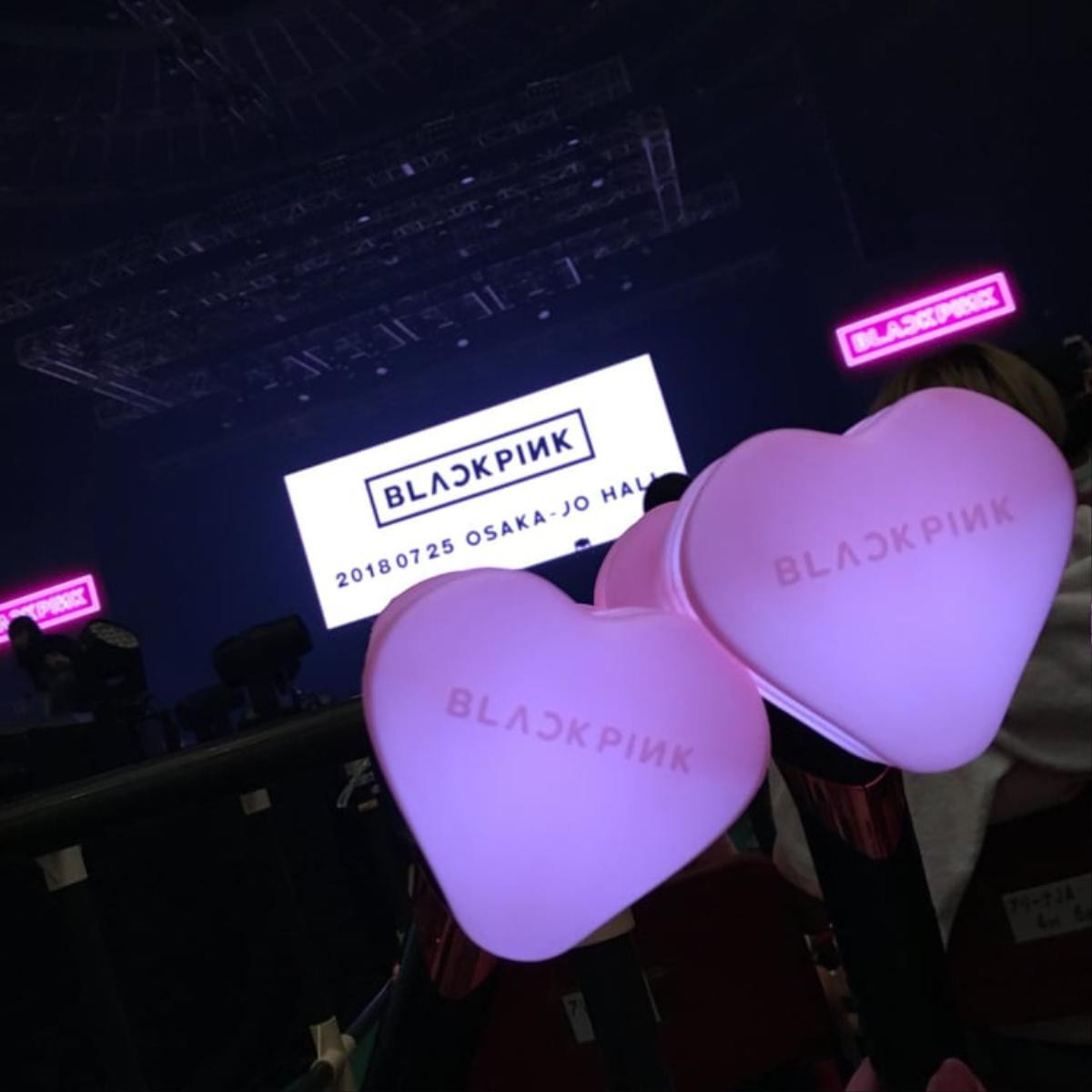 Xôn xao fan không thể mang lighstick vào concert BlackPink và lý do được đưa ra là… Ảnh 4