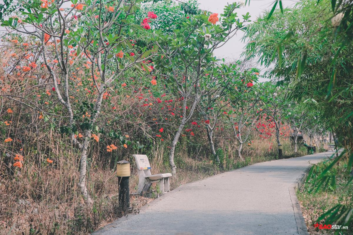 Có một mùa yêu nở rộ khắp nẻo đường tình ven Làng Đại học khiến bao cặp đôi sinh viên thổn thức Ảnh 9