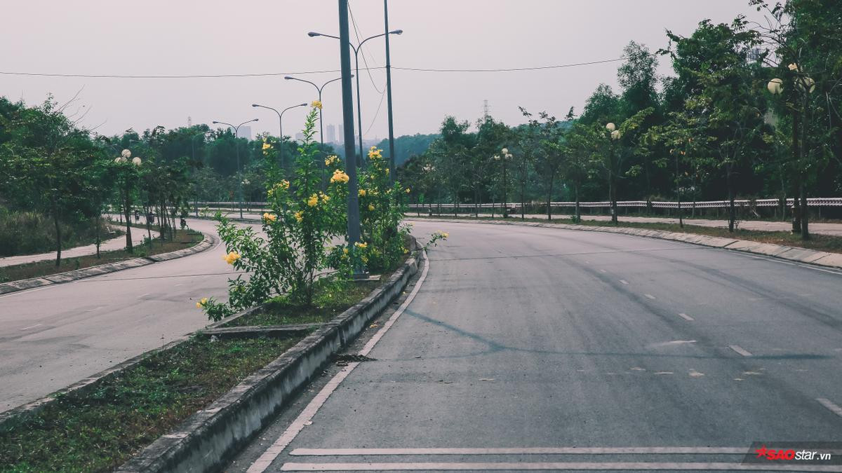 Có một mùa yêu nở rộ khắp nẻo đường tình ven Làng Đại học khiến bao cặp đôi sinh viên thổn thức Ảnh 17