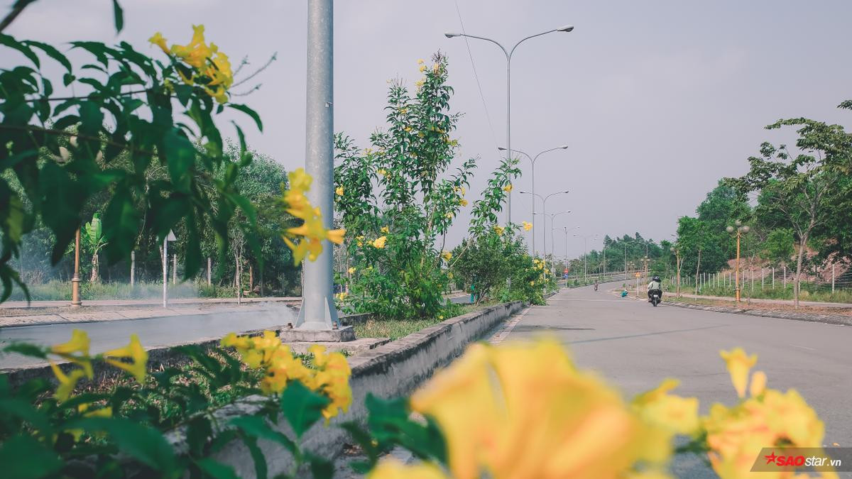 Có một mùa yêu nở rộ khắp nẻo đường tình ven Làng Đại học khiến bao cặp đôi sinh viên thổn thức Ảnh 13