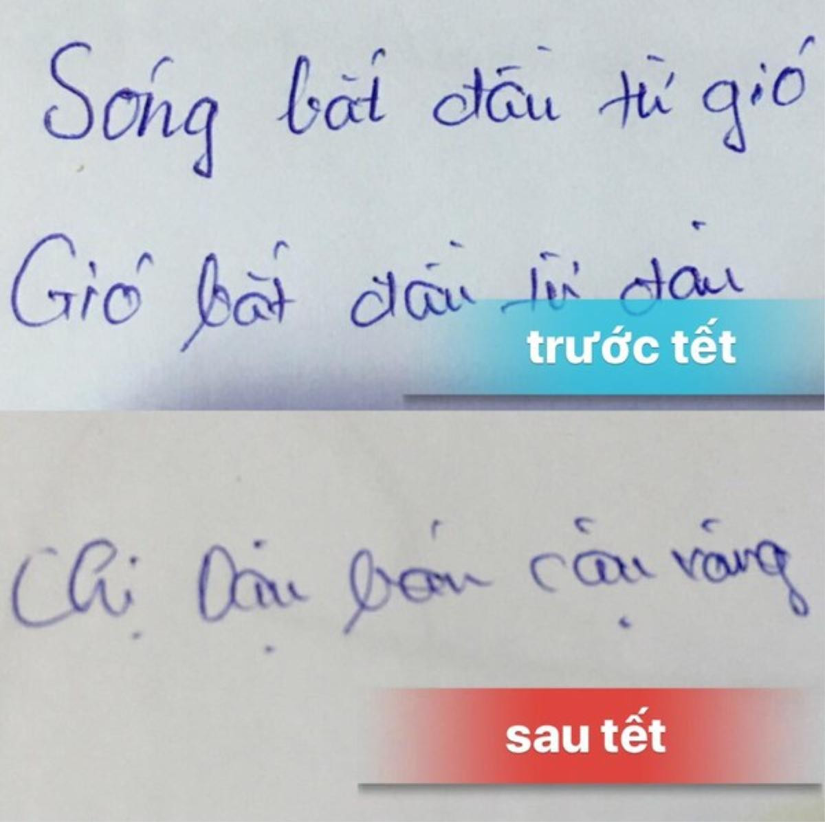 Chết cười với học sinh não cá muốn vận thành ngữ vào viết Văn nhưng không thuộc lại còn sáng tạo ra triết lý mới Ảnh 3