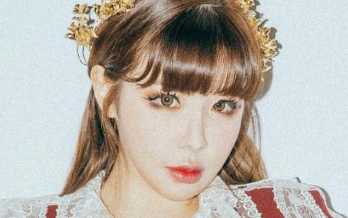 Tin vui cho V-Blackjack: Park Bom hứa sẽ tổ chức concert… tại Việt Nam Ảnh 5