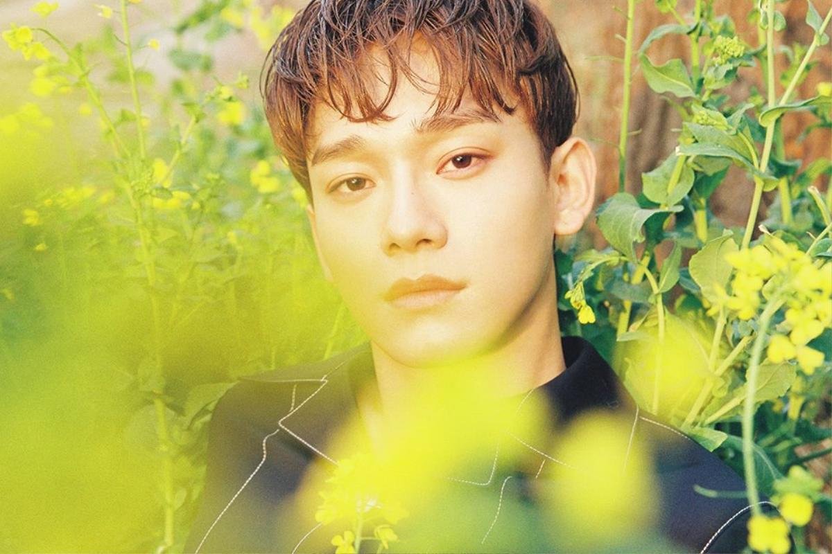 Chen (EXO) và Jisoo (BlackPink) không hẹn mà gặp tung ảnh tái xuất: Kẻ tám lạng, người nửa cân! Ảnh 4