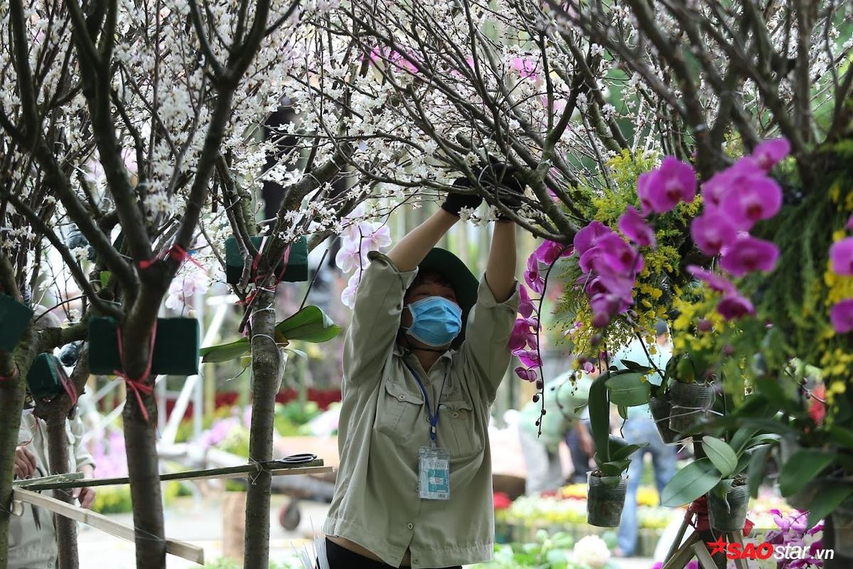 Chùm ảnh: Người Hà Nội háo hức chụp ảnh tại lễ hội hoa anh đào Nhật Bản - Hà Nội 2019 Ảnh 6