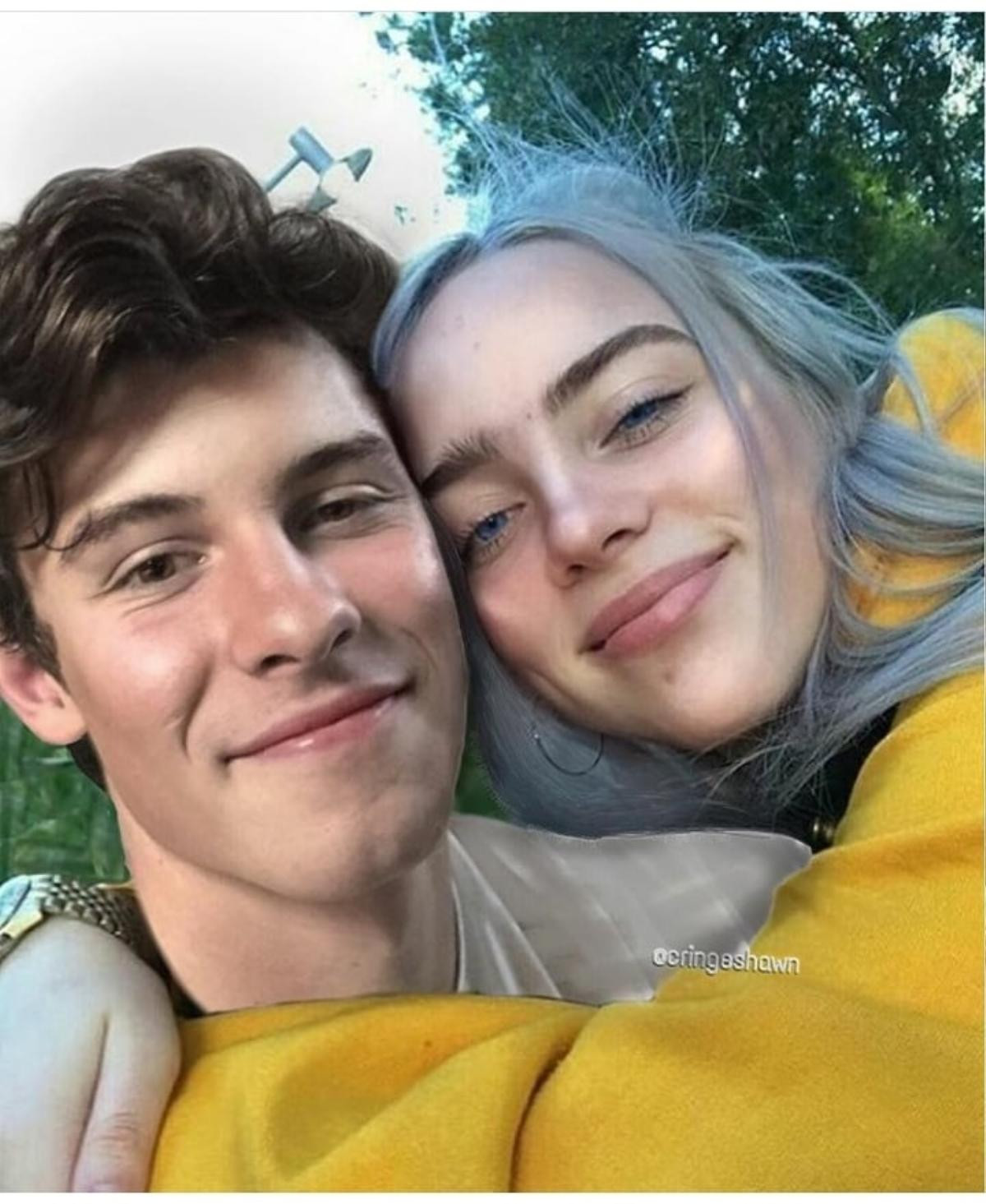 Chuyện fan US-UK đang xôn xao: Shawn Mendes ngỏ lời hợp tác, Billie Eilish thẳng thừng… lơ đẹp Ảnh 2