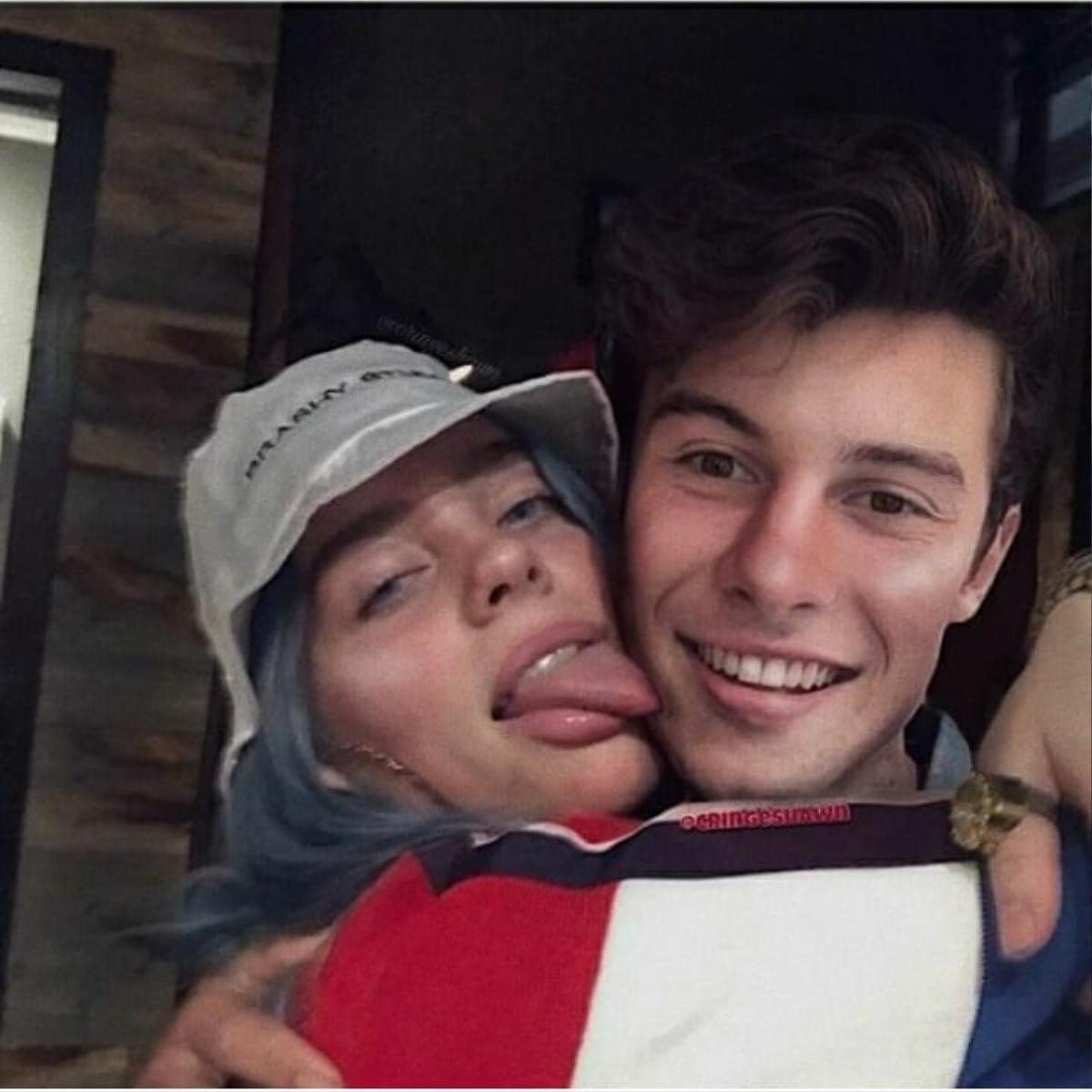 Hot boy, soái ca có gì vui khi Shawn Mendes vẫn bị hàng loạt mỹ nữ… lơ đẹp! Ảnh 2