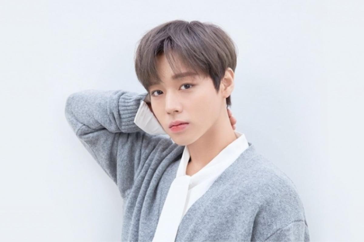 Mỹ nam PRODUCE X 101 bỗng dưng 'hot hòn họt' vì được ví von như Ong Seong Wu (WANNA ONE) Ảnh 6