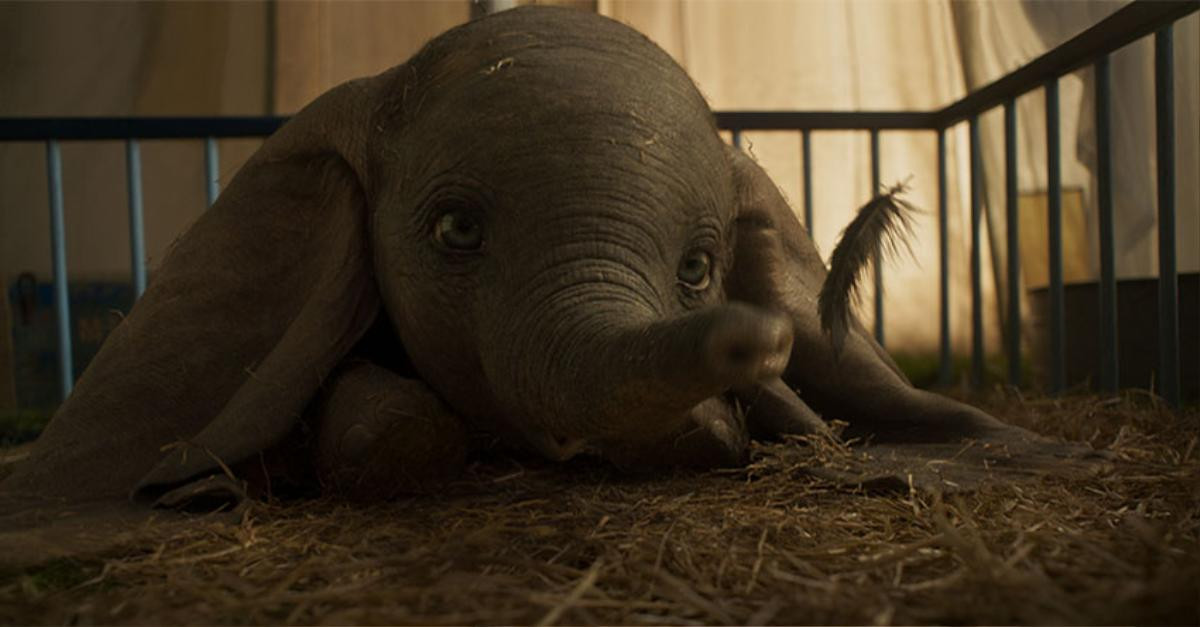 'Dumbo': Những thay đổi so với hoạt hình khiến bản live-action thêm phần ý nghĩa và nhân văn Ảnh 13