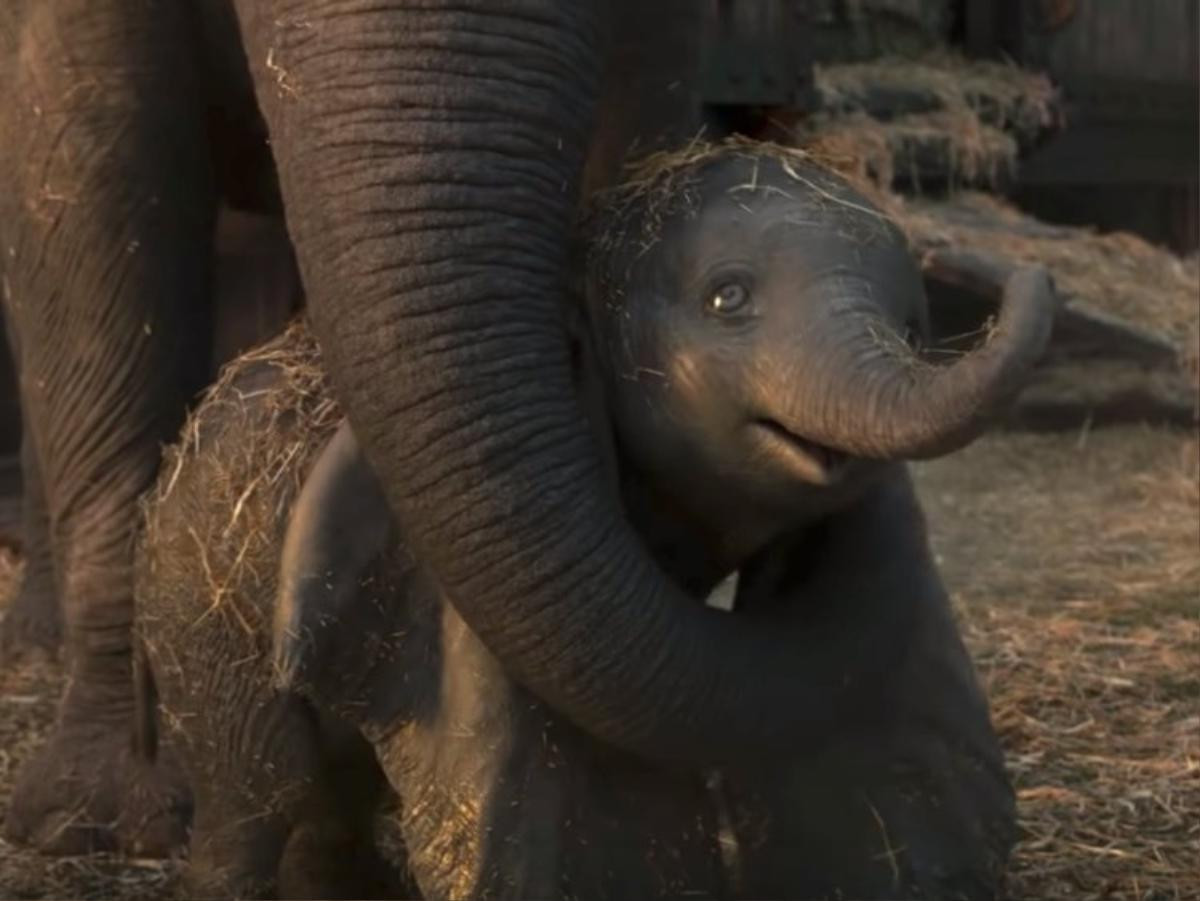 'Dumbo': Những thay đổi so với hoạt hình khiến bản live-action thêm phần ý nghĩa và nhân văn Ảnh 11