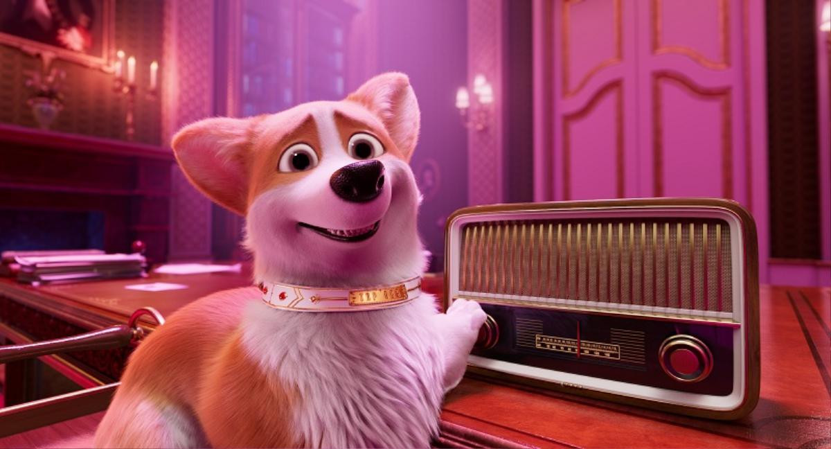 'The Queen’s Corgi': Hé lộ cuộc sống quý tộc của đàn 'boss' Corgi mông to Ảnh 9