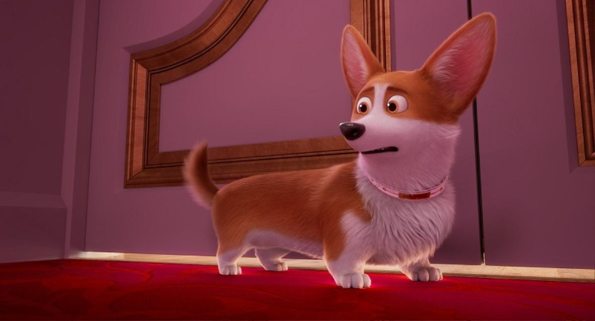 'The Queen’s Corgi': Hé lộ cuộc sống quý tộc của đàn 'boss' Corgi mông to Ảnh 10