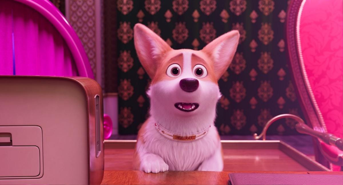 'The Queen’s Corgi': Hé lộ cuộc sống quý tộc của đàn 'boss' Corgi mông to Ảnh 15