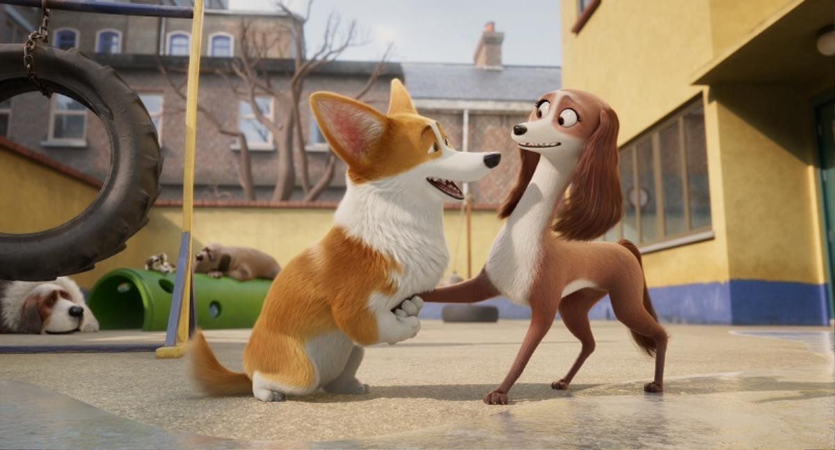 'The Queen’s Corgi': Hé lộ cuộc sống quý tộc của đàn 'boss' Corgi mông to Ảnh 2