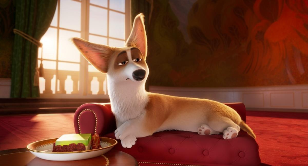 'The Queen’s Corgi': Hé lộ cuộc sống quý tộc của đàn 'boss' Corgi mông to Ảnh 3