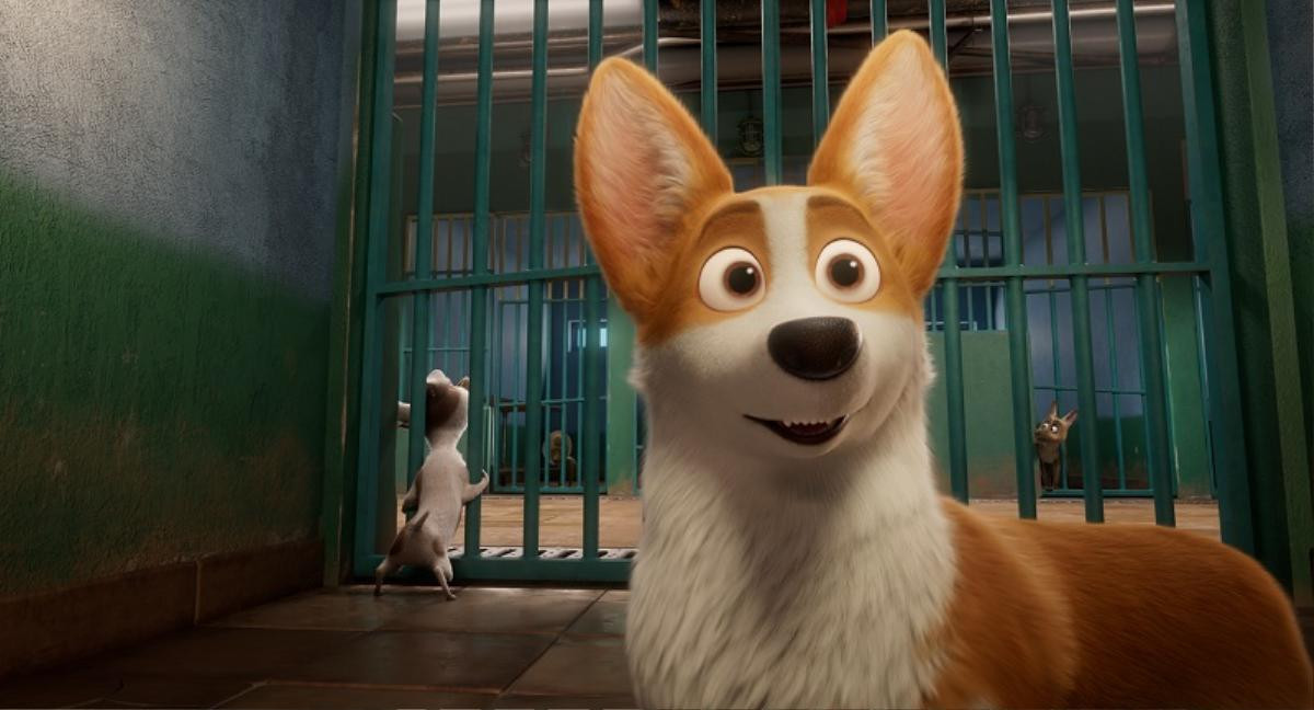 'The Queen’s Corgi': Hé lộ cuộc sống quý tộc của đàn 'boss' Corgi mông to Ảnh 6