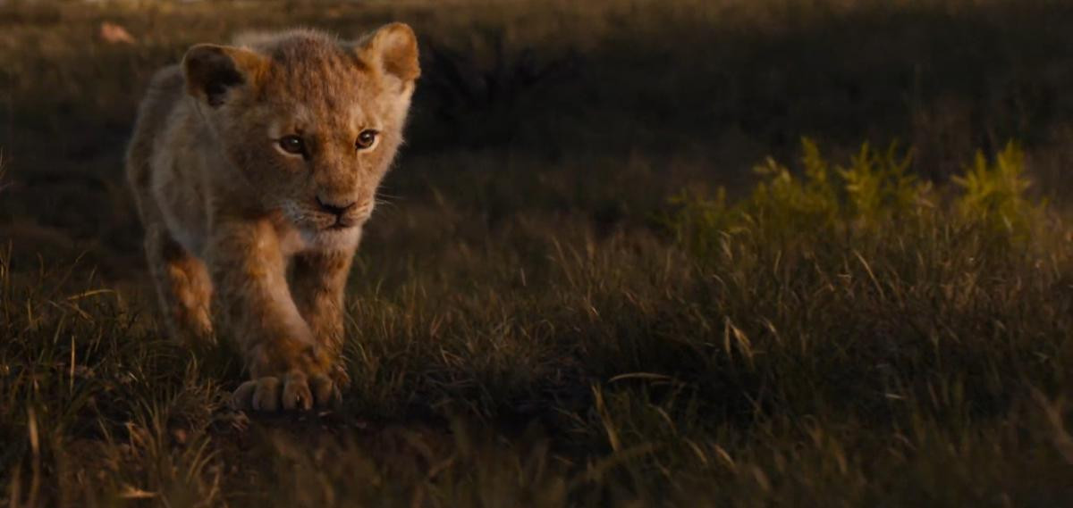 Trailer mới từ 'The Lion King': Simba tìm thấy chốn bình yên giữa dòng đời xô đẩy! Ảnh 5