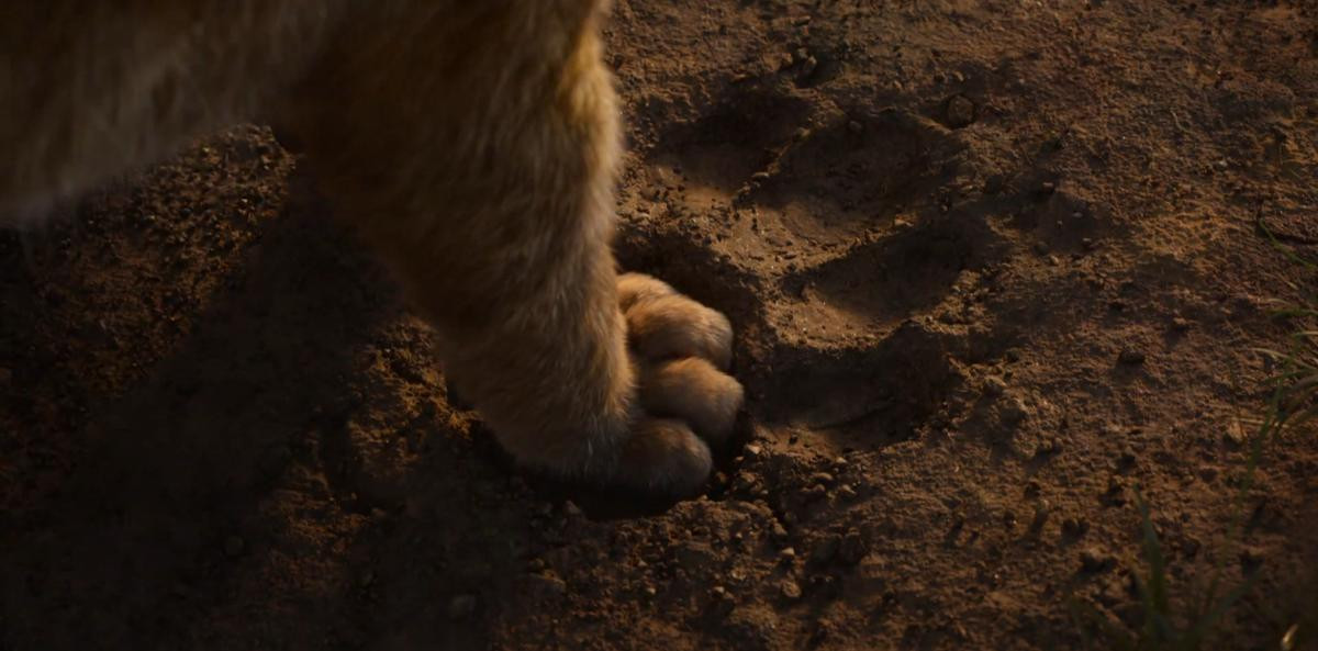 Trailer mới từ 'The Lion King': Simba tìm thấy chốn bình yên giữa dòng đời xô đẩy! Ảnh 6