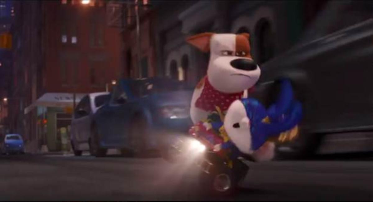 Trailer chính thức của 'The Secret Life Of Pets 2' mang cả thế giới thú cưng trở lại, phá hoại hơn xưa Ảnh 10