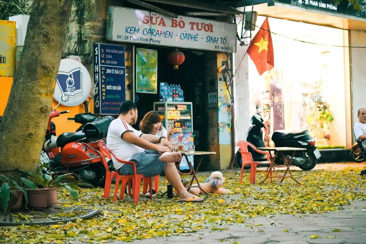 Đẹp ngỡ ngàng mùa sấu thay lá đổ vàng rực cả con đường lãng mạn nhất Hà Nội Ảnh 4