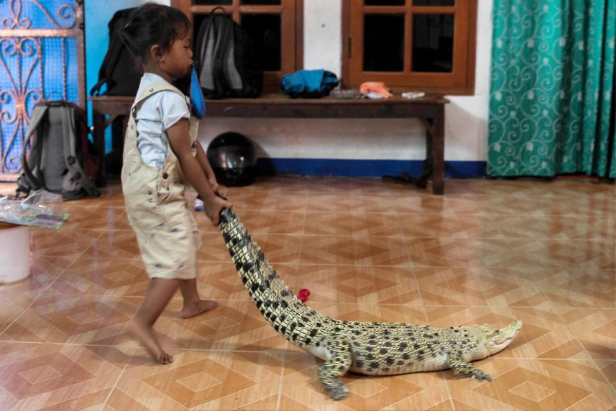 Bé gái 3 tuổi tắm, chơi và ngủ với cá sấu cưng mỗi ngày, còn có 'bạn' là trăn, bọ cạp Ảnh 2