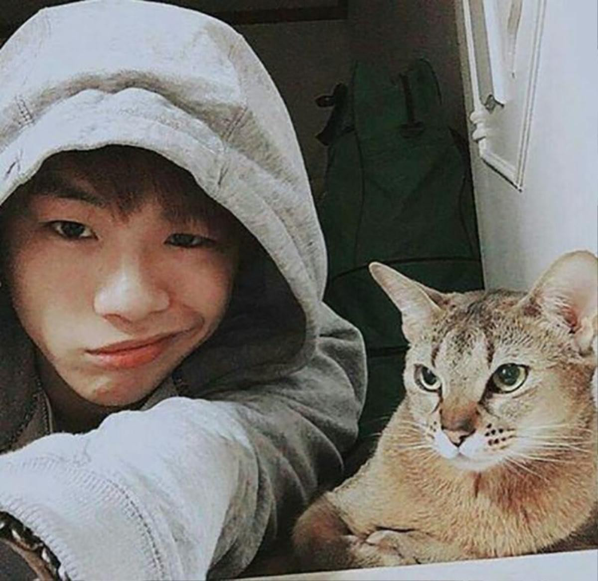 Đánh mất sự quyến rũ và mạnh mẽ trên sân khấu, Kang Daniel 'hóa thành mèo con' với những sở thích đáng yêu vô cùng! Ảnh 4