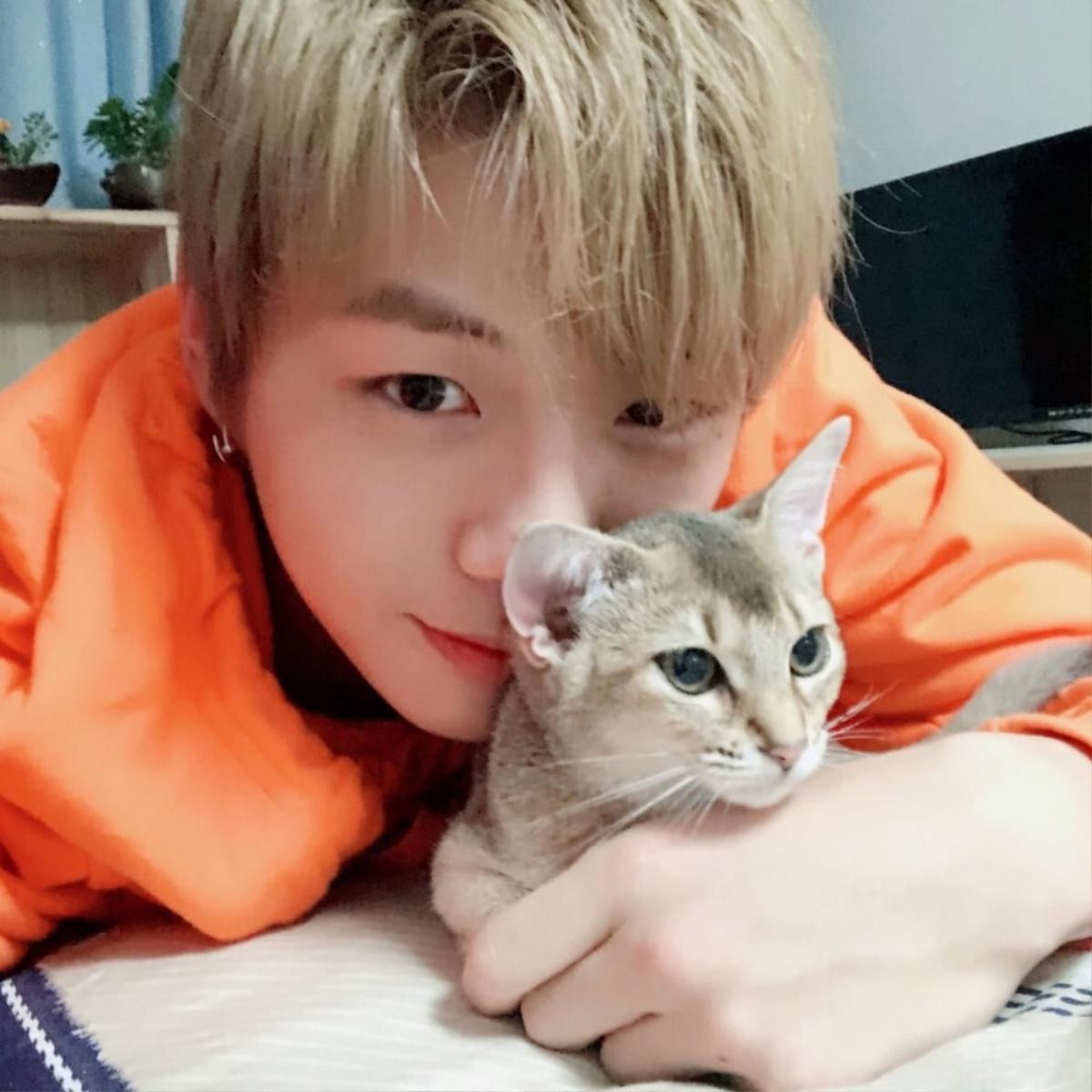 Đánh mất sự quyến rũ và mạnh mẽ trên sân khấu, Kang Daniel 'hóa thành mèo con' với những sở thích đáng yêu vô cùng! Ảnh 2