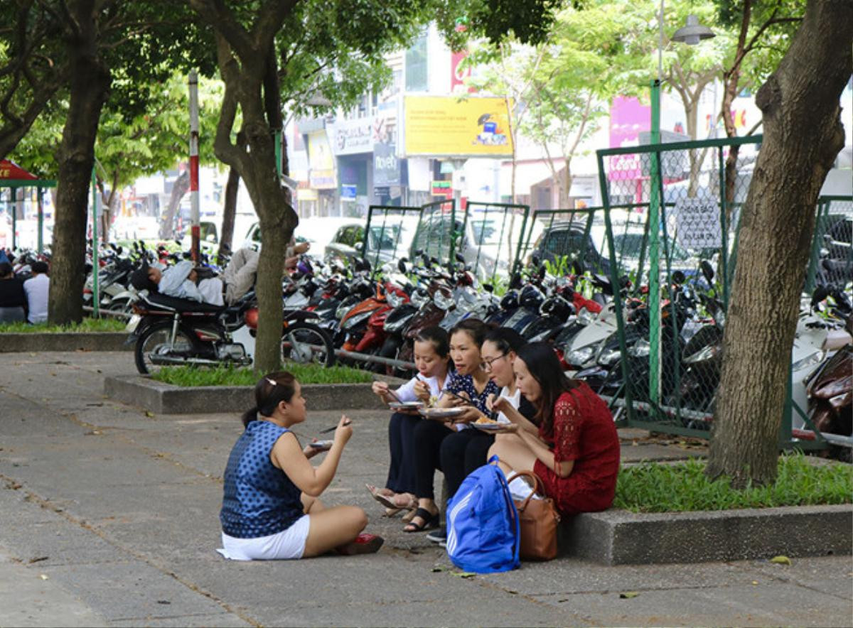 Sài Gòn nắng vỡ đầu: Những hàng cây cổ thụ 'dang tay làm máy điều hòa' Ảnh 2