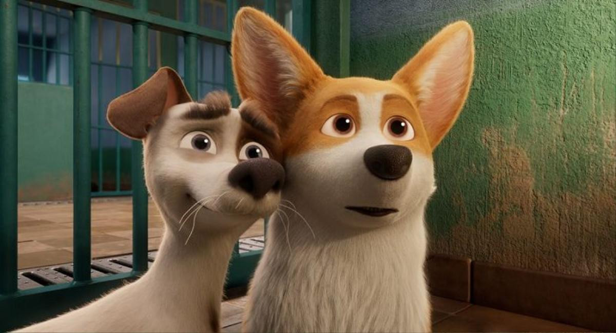 Mê cún cưng thì nhất định không thể bỏ qua những siêu boss này trong 'Corgi: Những chú chó Hoàng gia' Ảnh 5